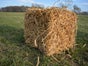 Strohballen Dummys, Herbst Dekoration, Erntefest - Galerie - Bild 2