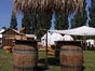 Strandschirm - Palmenschirm - Karibikschirm - Galerie - Bild 4