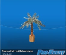 Palmen klein mit Beleuchtung