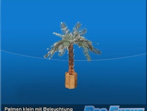 Palmen klein mit Beleuchtung