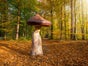 Pilze - Riesen Pilz Herbst Dekoration - Galerie - Bild 3