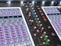 DiGiCo SD 12 Digitales Mischpult - Galerie - Bild 3