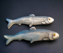 Riesen - Fische