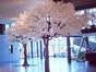 Kunstbäume mieten, Kirschblütenbaum mieten , Olivenbaum mieten 4m hoch, 3,5m breit Deko, Baum, Kunstblumen - Galerie - Bild 4