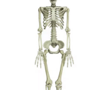 Halloween Figur 3