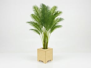 Hanfpalme mit Holz-Topf, Wetterfest. ARECA Palme mieten – Tropische Goldfruchtpalme für Event, Messe & Beach-Party