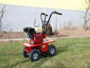 Rasenschälmaschine / Rasensodenschneider  Arbeitsbreite 38cm - Galerie - Bild 1
