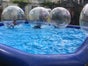 WATERWALK, Waterballs, Wasserbälle, Aqua-Zorbing, Wasserläufer (inkl. Anlieferung u. Aufbau + Abbau u. Abholung im Umkreis) - Galerie - Bild 4
