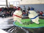 Sumoringen - Sumowrestling inkl.19% MwSt. - Galerie - Bild 3