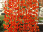 Ahorngirlande einfach 12er Set mieten – Blumen & Dekoration - Galerie - Bild 2