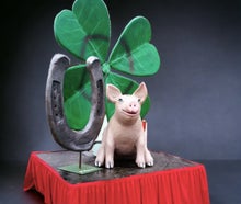 Glücksbringer, Kleeblatt, Schwein,Hufeisen, Silvesterdekoration