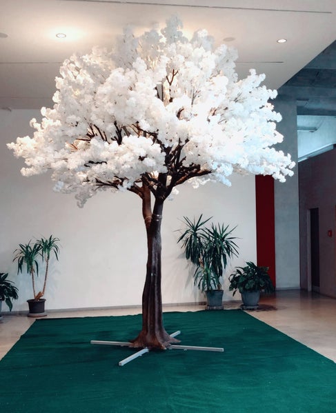 Bume mieten in Ihrer Nhe | Eventplanung mit Erento