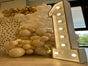 Leuchte Ziefern - Galerie - Bild 2