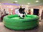 Fußballrodeo - das Fußball-Bullriding inkl. 19% MwSt. - Galerie - Bild 4