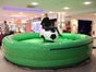 Fußballrodeo - das Fußball-Bullriding inkl. 19% MwSt. - Galerie - Bild 4