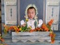 Fotowand Oktoberfest, Alpen, Tiroler Fenster - Galerie - Bild 2
