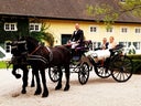 Historische Hochzeitskutsche mit Dach - gezogen von edlen Friesenperden, Hochzeit, Hochzeitsgeschenk, Kutsche,Friesen, Braut, Heiraten - Galerie - Bild 1