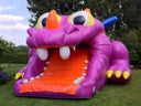 Krokodil und Drachen Kletter-Rutsche - Galerie - Bild 1