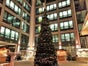 Riesen Weihnachtsbaum, Weihnachtsmarkt Dekoration, Weihnachten - Galerie - Bild 2