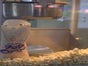 1 Tag Popcornmaschine - Galerie - Bild 2