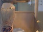1 Tag Popcornmaschine - Galerie - Bild 2