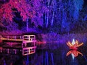 Outdoor Fluter - Stimmungslicht, Baumbeleuchtung - Galerie - Bild 1