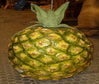 Ananas, Frucht, Tropenfrucht, Künstliche Früchte