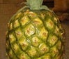 Ananas, Frucht, Tropenfrucht, Künstliche Früchte