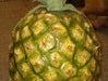 Ananas, Frucht, Tropenfrucht, Künstliche Früchte