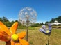 Pusteblume Blume Riesenblume - Galerie - Bild 3