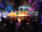 Praterinsel - Galerie - Bild 2