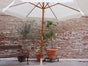 Sonnenschirme - Galerie - Bild 2