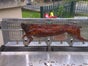 Gas betriebener Spanferkelgrill Lammgrill - Galerie - Bild 2