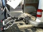 Premium Fahrradträger Atera DL 3 für AHK für 3 Fahrräder Fahrrad-Träger Anhängerkupplung Rad-Träger Kupplungsträger Radträger Träger Fahrräder Fahrradtransport - Galerie - Bild 4