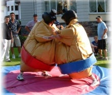 Sumo Ringen