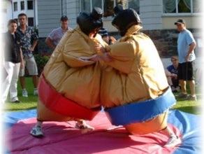 Sumo Ringen