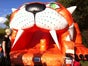 Riesenrutsche Tiger - Galerie - Bild 2