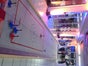 Eistockschießen/Fun-Curling - Galerie - Bild 2