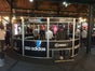 Soccer Cage  |  Panna Court  |  mit oder ohne Kunstrasen - Galerie - Bild 2