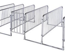 Einlassschleuse / Eingangsschleuse / Einlassgate / Gate / Absperrgitter