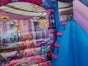 Profi Hüpfburg Springburg Cinderella Kutsche Prinzessin Traum Schloss Märchenschloss mit Rutsche leihen mieten - Galerie - Bild 4