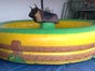 Rodeo Bull Riding inkl. Betreuung - Galerie - Bild 3