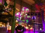 Arminius-Markthalle - Galerie - Bild 2