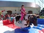 Rodeo Bullriding - Galerie - Bild 3