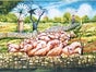 Spanisches Land Kulisse, Spanien, Natur - Galerie - Bild 2