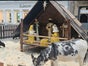 Weihnachtsmann mit echten Rentieren - Galerie - Bild 3