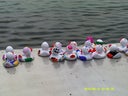 Mal- & Bastelstation "Enten anmalen"