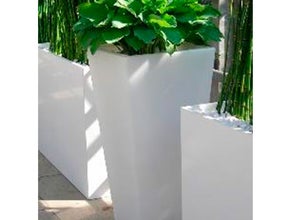 Hosta im Slide-Vase