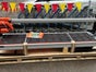 Steinsäge / Plattensäge - 220 cm Schnittlänge - Galerie - Bild 2