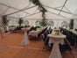 Bierzeltgarnituren 50 cm und 70 cm breit - Galerie - Bild 3
